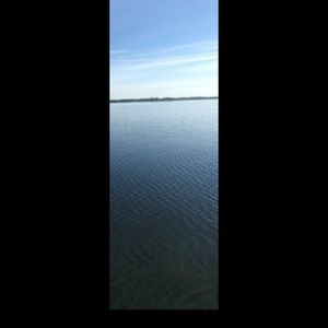 Meet your Posher, Nevin